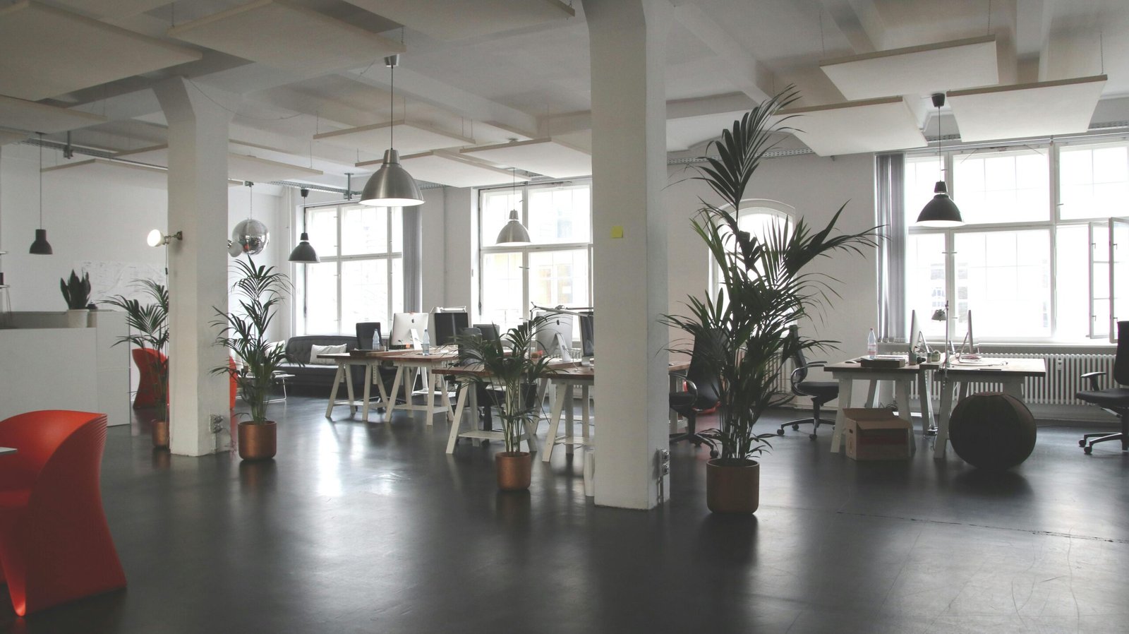 HOME 首頁 Spacious modern office interior with desks, plants, and natural lighting in Berlin.