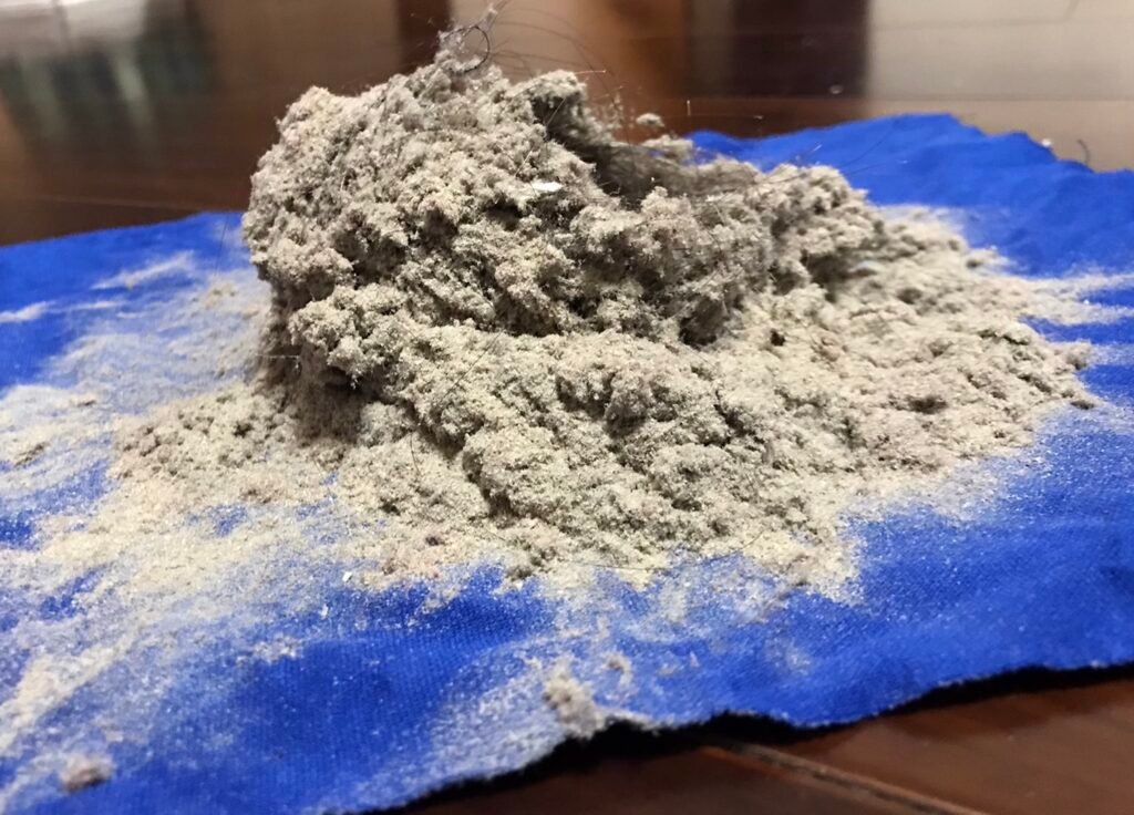 單次清潔 可潔 除蟎 2 1024x736