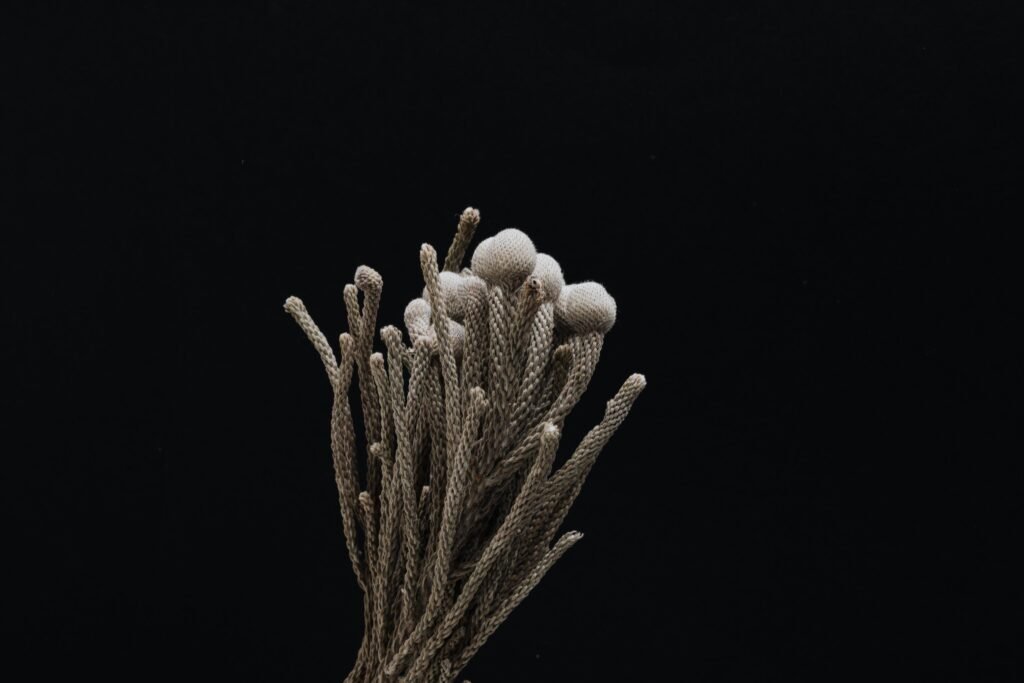 Creative design of handmade bundle of thin wicker gray stalks with soft round buds on top on black background