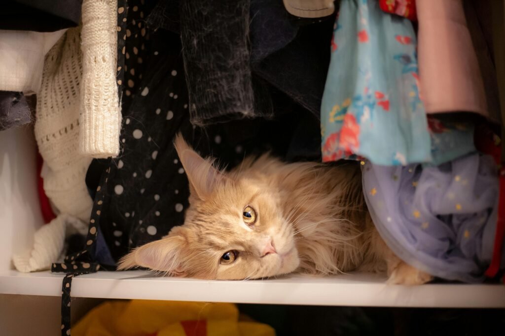 A fluffy cat snugly nestled among colorful clothes in a closet.