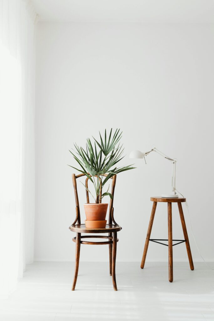 A minimalist room featuring a potted plant, wooden chair, and modern lamp.